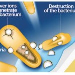 Anti-Microbial Coat